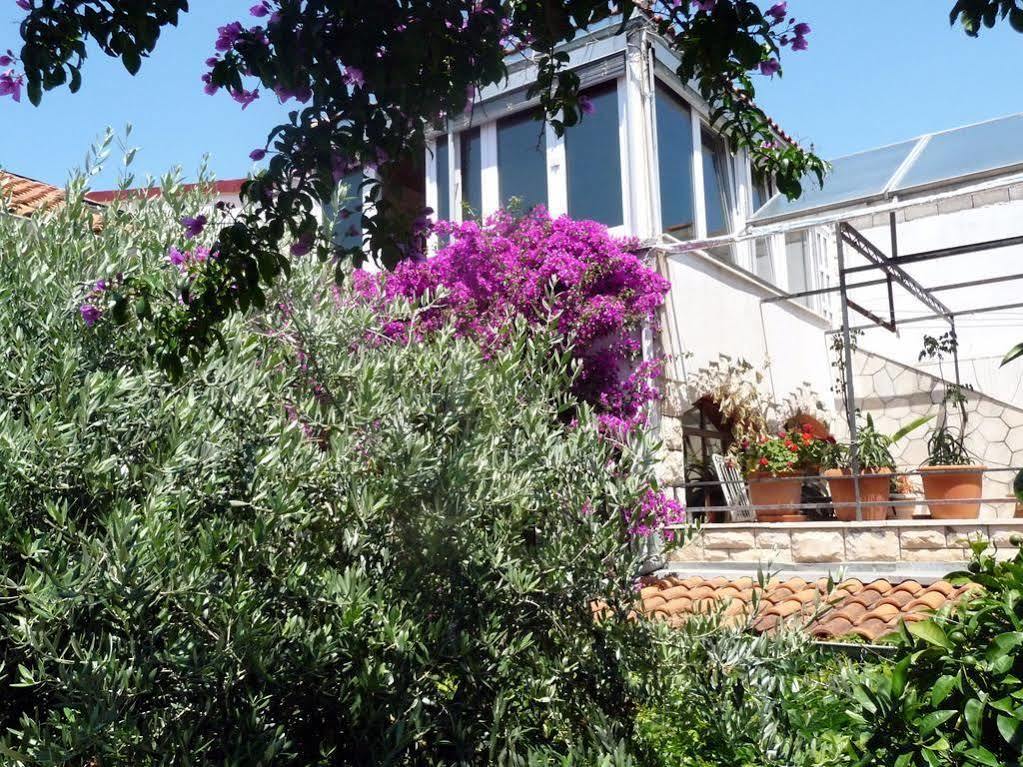 Villa Tania Hvar Town Bagian luar foto